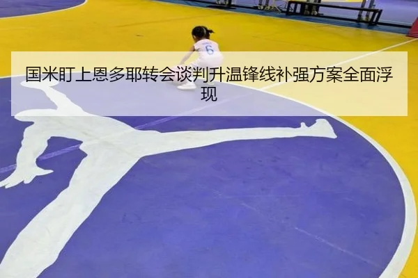 国米盯上恩多耶转会谈判升温锋线补强方案全面浮现
